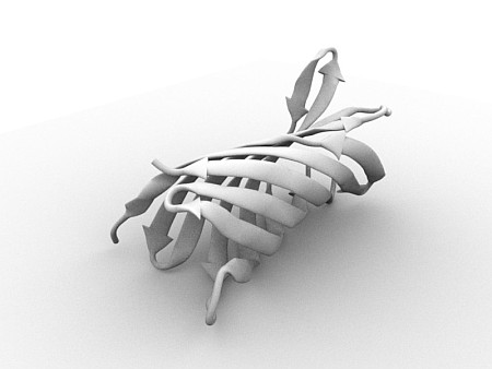 Neisserial surface protein A