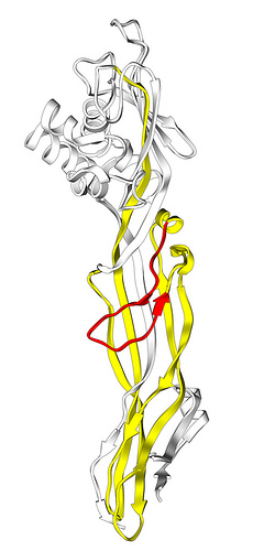 2875849370_72493ac1fc