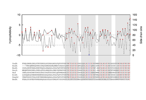 2875959194_9cfe8edf00
