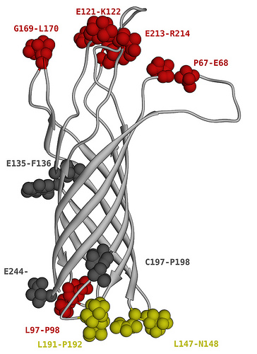 p2881918142_0a61f430a8
